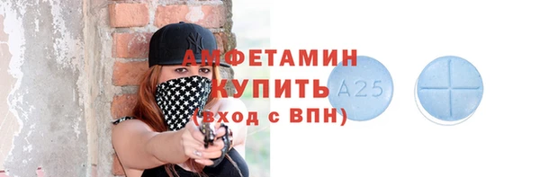 СК Алексин