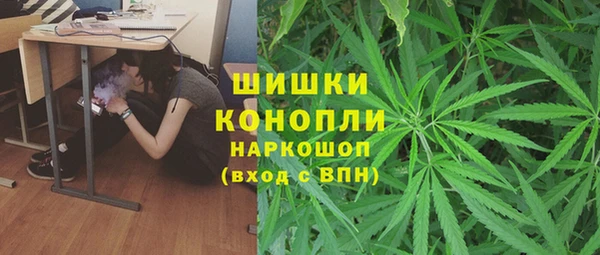spice Алзамай