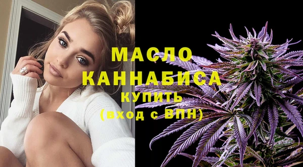 индика Зеленодольск