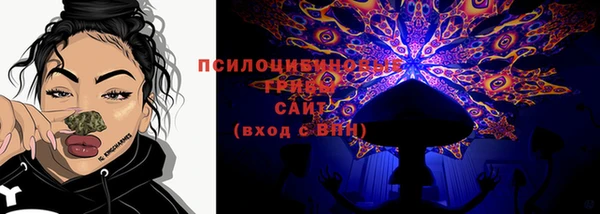 spice Алзамай