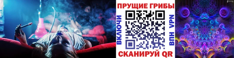 Псилоцибиновые грибы GOLDEN TEACHER  Павлово 