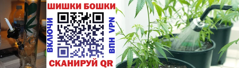 Конопля ГИДРОПОН  кракен ТОР  Павлово  продажа наркотиков 